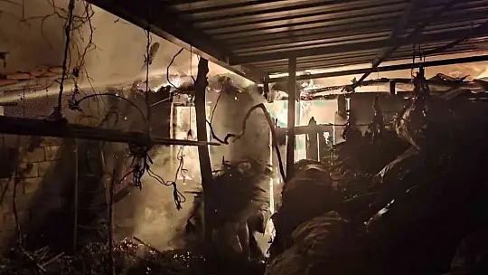 Muğla'da ahır yangını