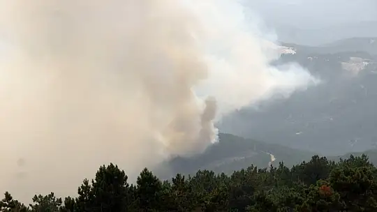 Muğla'da alevler yeniden yükseldi