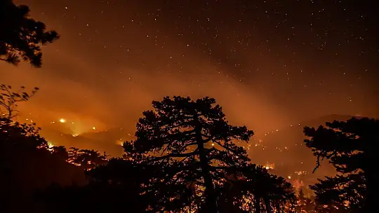 Muğla'da alevlerle mücadele gece boyu sürdü