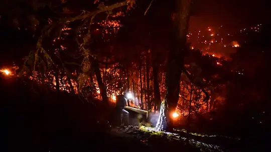 Muğla'da alevlerle mücadele gece boyu sürdü