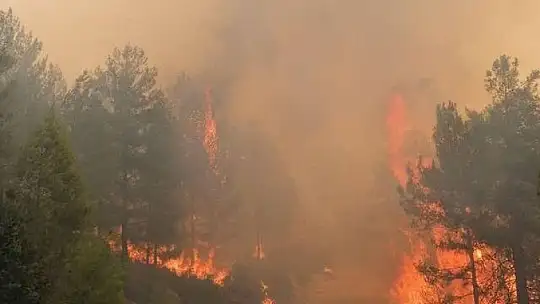 Muğla'da artan sıcaklarla birlikte alevler yeniden yükseliyor