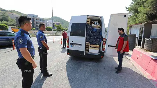 Muğla'da avlanması yasak olan 3 adet mavi yüzgeçli orkinos balığı ele geçirildi