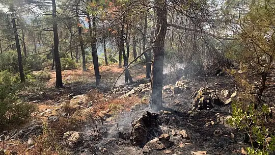 Muğla'da çıkan 10 yıldırım yangını büyümeden söndürüldü
