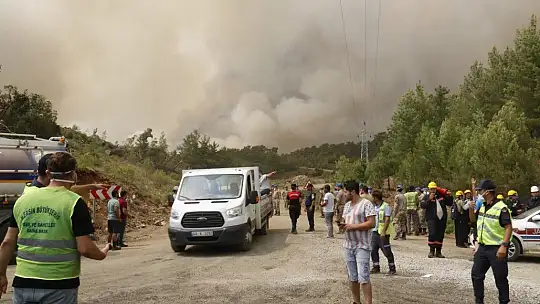 Muğla'da dumanlar içerisinde kalan kaplumbağaya ekiplerden can suyu