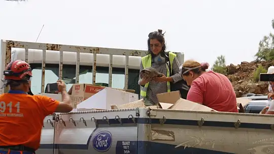 Muğla'da dumanlar içerisinde kalan kaplumbağaya ekiplerden can suyu