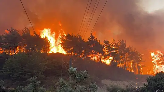 Muğla'da gecenin karanlığını alevler aydınlatıyor