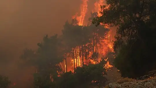 Muğla'da gecenin karanlığını alevler aydınlatıyor