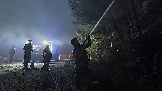 Muğla'da gecenin karanlığını alevler aydınlatıyor