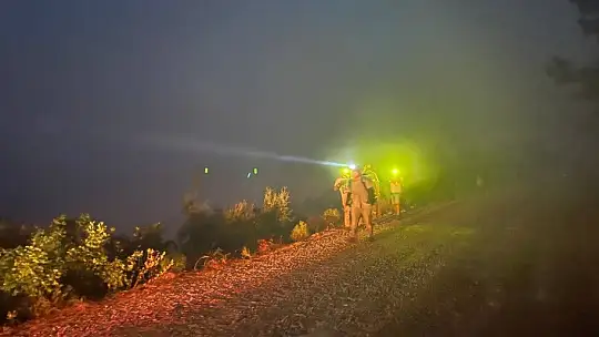 Muğla'da gecenin karanlığını alevler aydınlatıyor