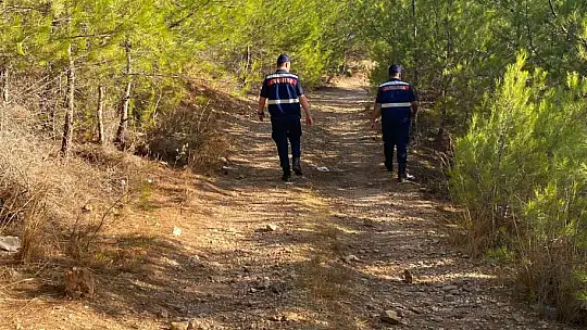 MUĞLA'DA ORMAN YANGINI RİSKİNE KARŞI TEYAKKUZ