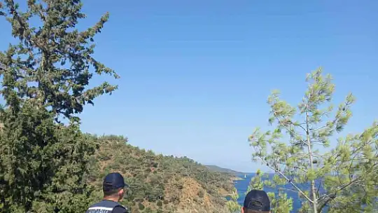 MUĞLA'DA ORMAN YANGINI RİSKİNE KARŞI TEYAKKUZ