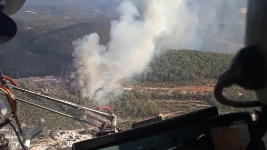 Muğla'da orman yangını