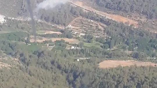 Muğla'da orman yangını