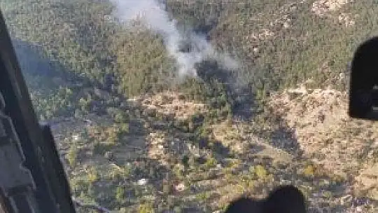 Muğla'da orman yangını