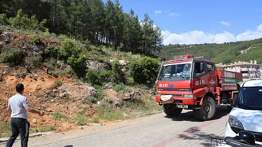 Muğla'da orman yangını