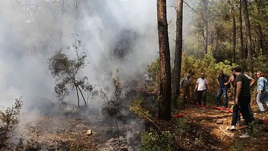 Muğla'da orman yangını