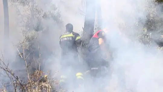 Muğla'da orman yangını