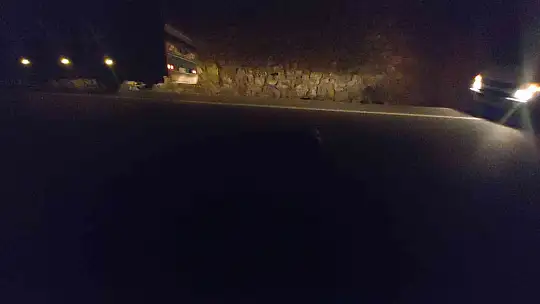 MUĞLA'DA OTOMOBİL DOMUZ SÜRÜSÜNE DALDI, 4 DOMUZ TELEF OLDU