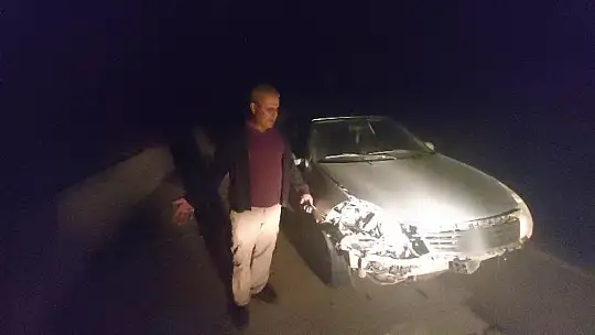 MUĞLA'DA OTOMOBİL DOMUZ SÜRÜSÜNE DALDI, 4 DOMUZ TELEF OLDU