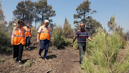 Muğla'da yanan alan 40 bin hektara yaklaştı