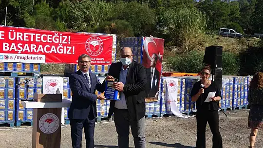 Muğla'da yangınlarda zarar gören arıcılara arı yemi desteği