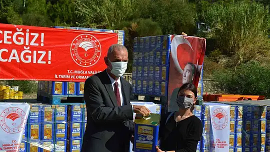 Muğla'da yangınlarda zarar gören arıcılara arı yemi desteği