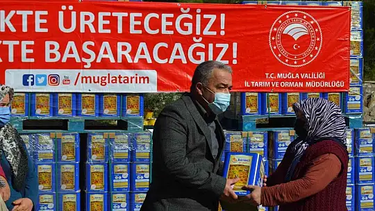 Muğla'da yangınlarda zarar gören arıcılara arı yemi desteği