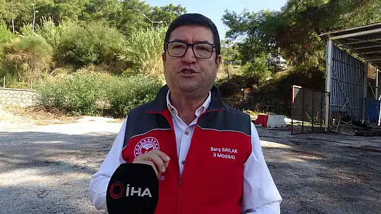 Muğla'da yangınlarda zarar gören arıcılara arı yemi desteği
