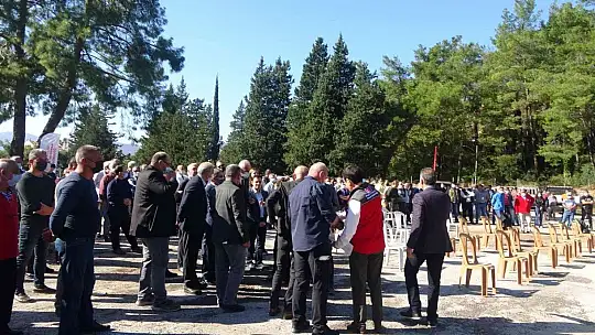Muğla'da yangınlarda zarar gören arıcılara arı yemi desteği