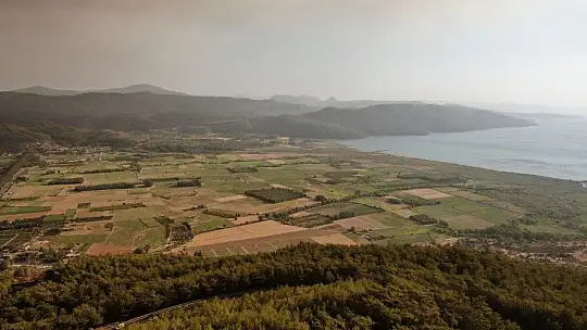 Muğla'da yükselen dumanlar gökyüzünü griye boyadı