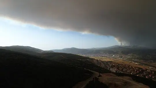 Muğla'da yükselen dumanlar gökyüzünü griye boyadı