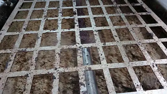 MUĞLA'DAKİ FABRİKALARINDA 7 GÜN 24 SAAT ZEYTİNYAĞI NÖBETİ