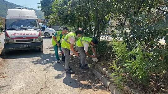Muğla'daki yangında hayvanları tahliye edip beslediler