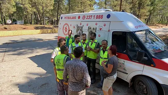 Muğla'daki yangında hayvanları tahliye edip beslediler