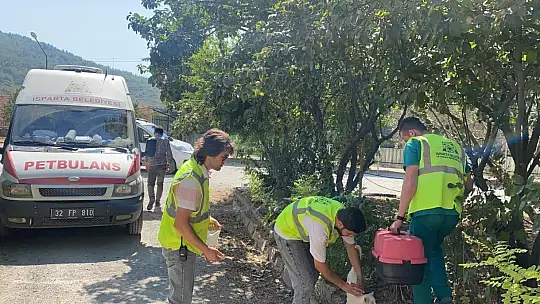 Muğla'daki yangında hayvanları tahliye edip beslediler