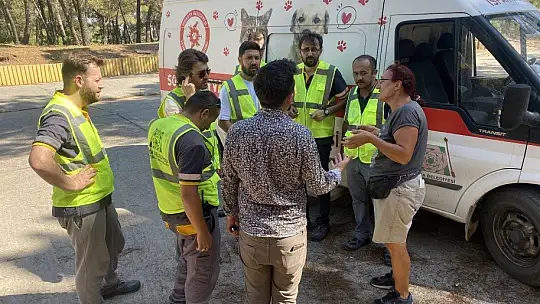Muğla'daki yangında hayvanları tahliye edip beslediler