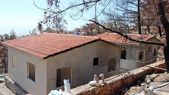 Muğla'daki yangının ardından yaralar sarılmaya devam ediyor