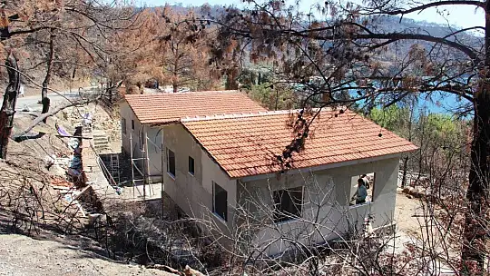 Muğla'daki yangının ardından yaralar sarılmaya devam ediyor