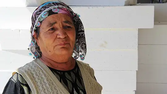 Muğla'daki yangının ardından yaralar sarılmaya devam ediyor