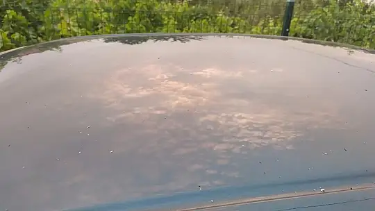 Muğla'daki yangının külleri Denizli ve ilçelerine ulaştı