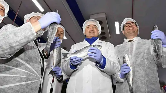 Muğla'dan 54 ülkeye 453 milyon dolarlık balık ihracatı