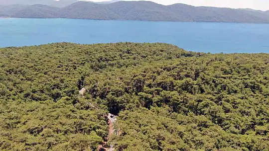Muğla Jandarması orman yangını teyakkuzunda