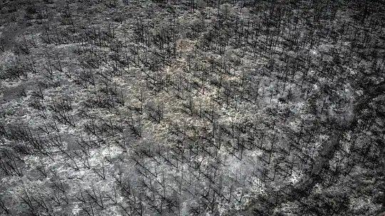 Muğla Kavaklıdere'de boşaltılan köylere geri dönüş başladı