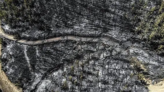 Muğla Kavaklıdere'de boşaltılan köylere geri dönüş başladı