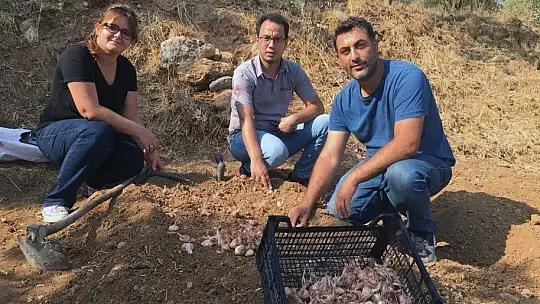 Muğla'nın kadınları Safran ile tanıştı