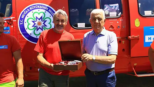 Muğla'nın orman varlığı yüzde 60'a düştü