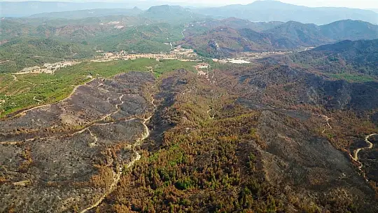 Muğla'nın orman varlığı yüzde 60'a düştü