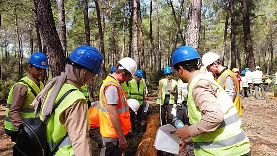 MUĞLA ORMAN BÖLGE MÜDÜRLÜĞÜ'NDE ÜRETİM TATBİKATI