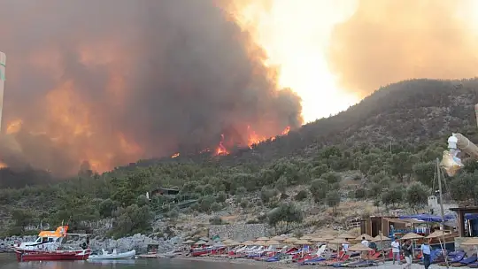 Muğla orman yangınlarında son durum