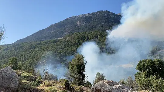 Muğla Seydikemer'de halk yangınlara karşı seferber oldu